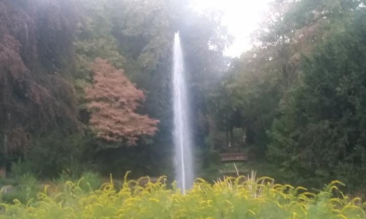 Stadtpark Restaurant